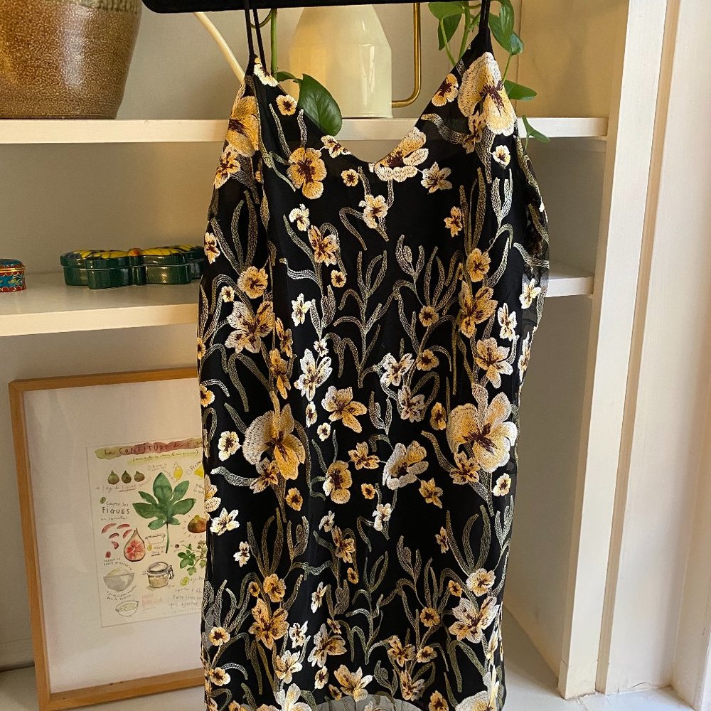 NWT Aritzia Dress